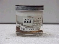 藏品(黑高身雀鯛)的圖片